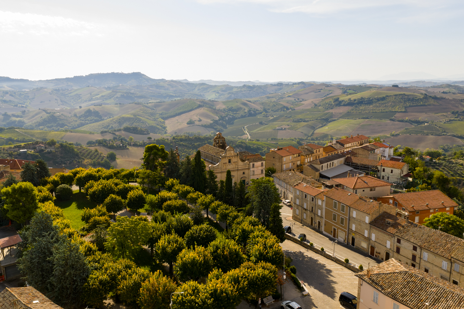 Scopri